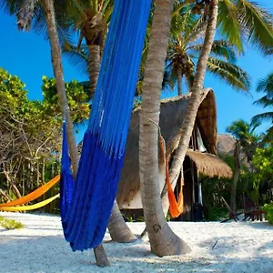 https://playa-selva.tulum-hotels.net